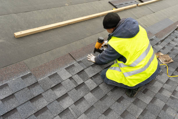 Best Metal Roofing Contractor  in Safety Harbor, FL