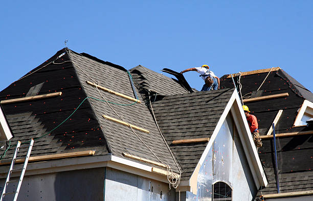 Best Commercial Roofing Services  in Safety Harbor, FL