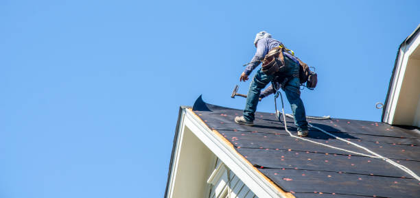 Best Storm Damage Roof Repair  in Safety Harbor, FL